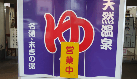 マツコも興味津々！サウナ激戦区唯一のシングル水風呂｜横浜天然温泉 ヨコヤマ・ユーランド鶴見