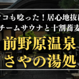 マツコも唸った！居心地抜群の薬草スチームサウナと十割蕎麦が魅力｜前野原温泉 さやの湯処