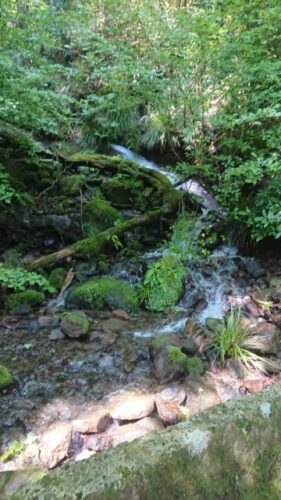 箱根連山 湧水
