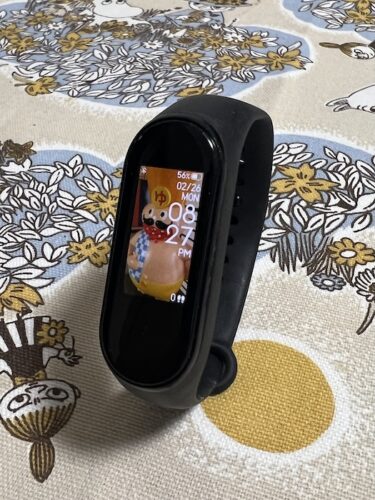 Xiaomi Mi Band 3（私物）