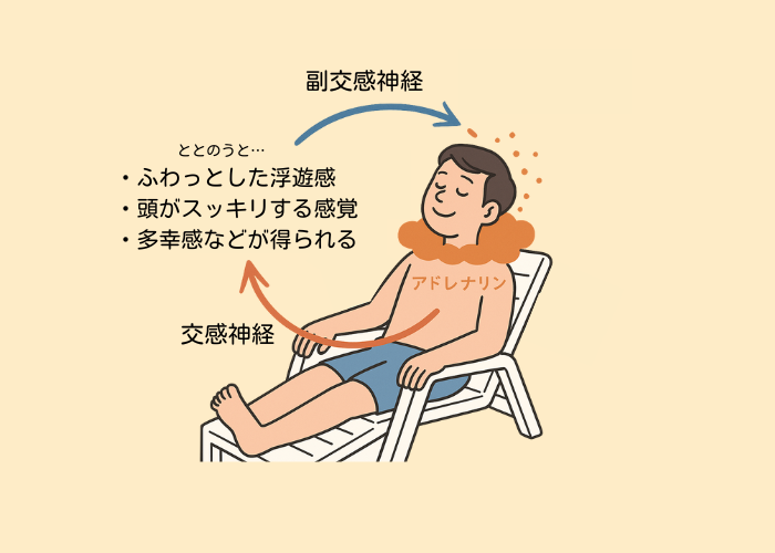 ととのうメカニズム　図解