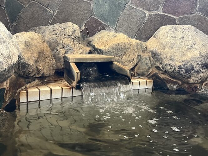 堤柳泉　岩風呂　天然浅草温泉1
