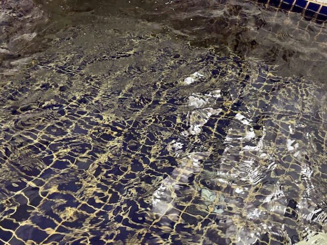 アクアプレイス旭 水風呂 水質イメージ