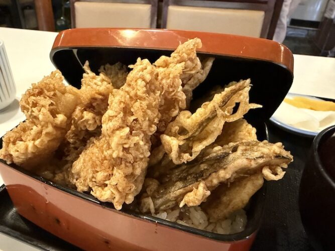 アクアプレイス旭 魚昇 天然ふぐ天重